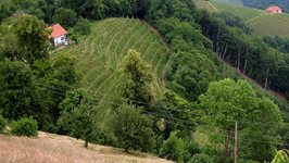 5-vino-klima.jpg 5-vino-klima.jpg