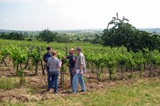 2-vino-klima.jpg 2-vino-klima.jpg