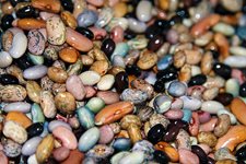 5-lusteniny-1.jpg 5-lusteniny-1.jpg