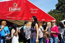 5-foodfest-olo.jpg 5-foodfest-olo.jpg