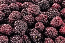 3-marmelady.jpg 3-marmelady.jpg