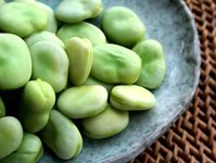 7-lusteniny-bob-1.jpg 7-lusteniny-bob-1.jpg